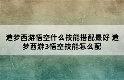 造梦西游悟空什么技能搭配最好 造梦西游3悟空技能怎么配